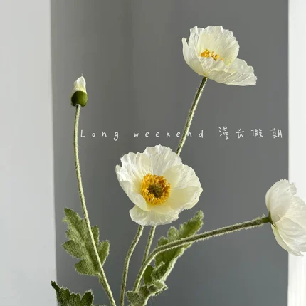 Peony